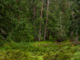 20140830-IMG 0864 : Canada