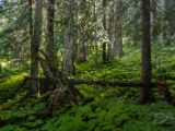 20140830-IMG 0899 : Canada