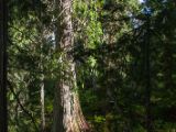 20140830-IMG 0902 : Canada