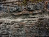 20140831-IMG 1031