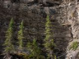 20140831-IMG 1109