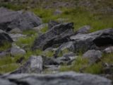 20140831-IMG 1227