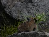 20140831-IMG 1236