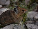 20140831-IMG 1247