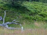 20140831-IMG 1269