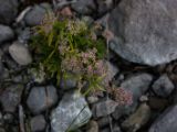 20140831-IMG 1340