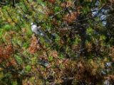 20140831-IMG 1367