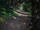 20140831-IMG 1387