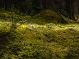 20140831-IMG 1416