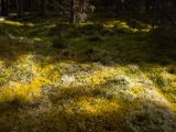 20140831-IMG 1418