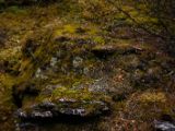 20140831-IMG 1426