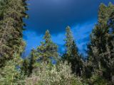 20140831-IMG 1562