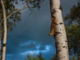 20140831-IMG 1613