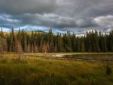 20140831-IMG 1638