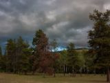 20140831-IMG 1690