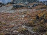 20140901-IMG 1797