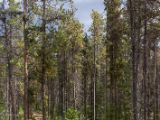 20140901-IMG 1879
