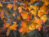20140901-IMG 1892