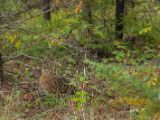20140901-IMG 1933