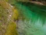 20140901-IMG 2004