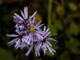 20140901-IMG 2047