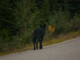 20140901-IMG 2069