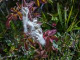 20140902-IMG 2191