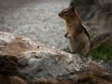 20140902-IMG 2423