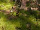 20140903-IMG 2538