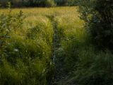 20140903-IMG 2539
