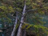 20140903-IMG 2552