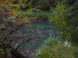 20140903-IMG 2554