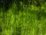 20140903-IMG 2566