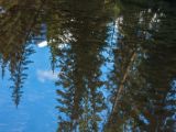 20140903-IMG 2580