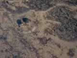 20140903-IMG 2582