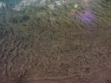20140903-IMG 2588
