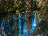 20140903-IMG 2603