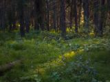 20140903-IMG 2620