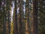 20140903-IMG 2621