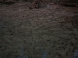 20140903-IMG 2622