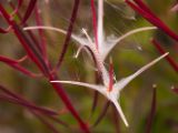 20140904-IMG 2820