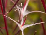 20140904-IMG 2822