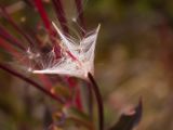 20140904-IMG 2823