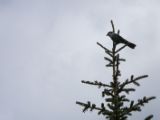 20140904-IMG 2825