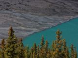 20140904-IMG 2842