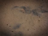 20140904-IMG 2869