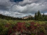 20140904-IMG 2900