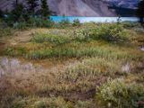 20140904-IMG 2915