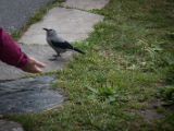20140904-IMG 2952