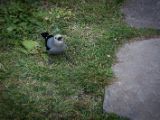 20140904-IMG 2953